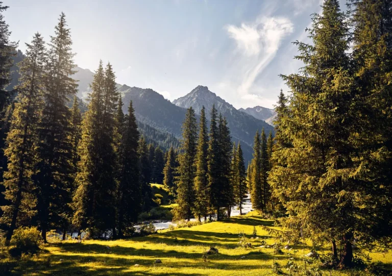 Beautiful valley river in the mountains of Kyrgyzstan